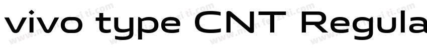 vivo type CNT Regula字体转换
